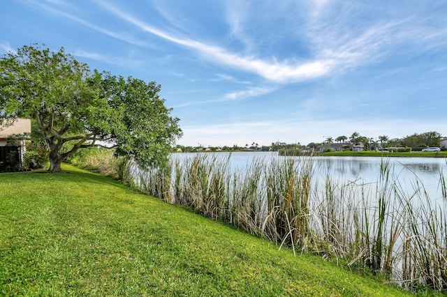 property view of water