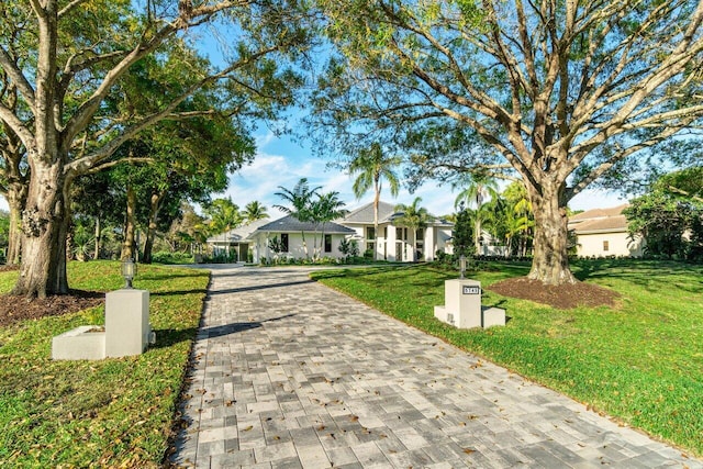 single story home with a front lawn