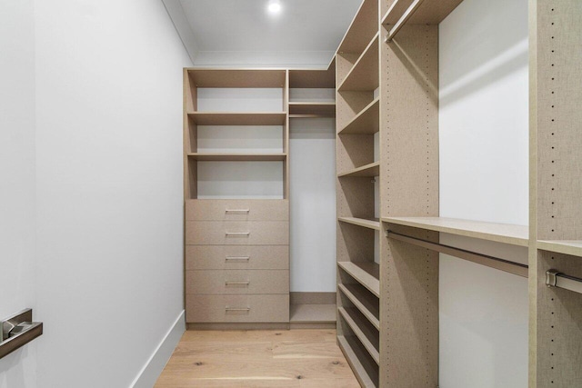 walk in closet with light wood-type flooring