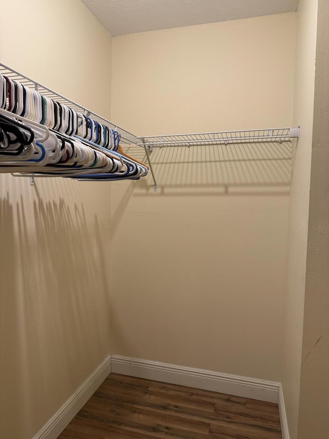 spacious closet featuring dark hardwood / wood-style floors