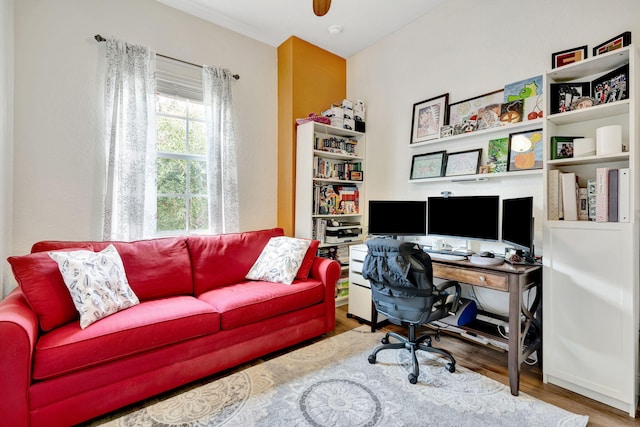 office featuring hardwood / wood-style flooring