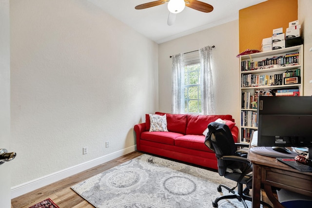 office with ceiling fan and hardwood / wood-style flooring