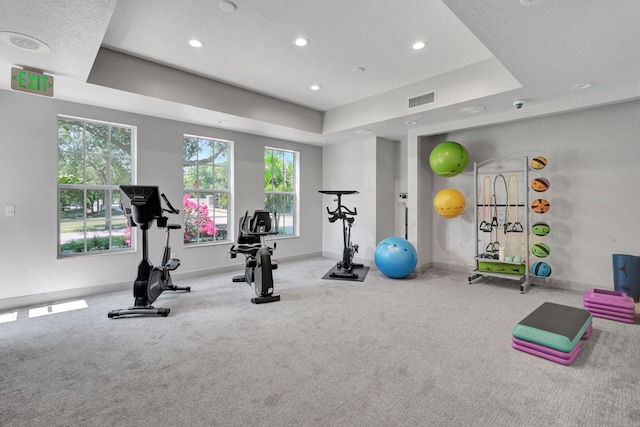 workout area with a raised ceiling, light colored carpet, a textured ceiling, and plenty of natural light