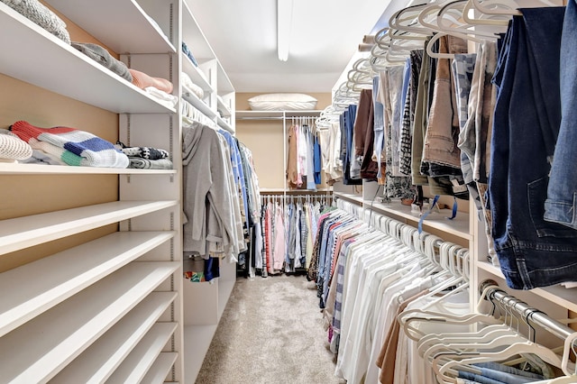 spacious closet featuring light carpet