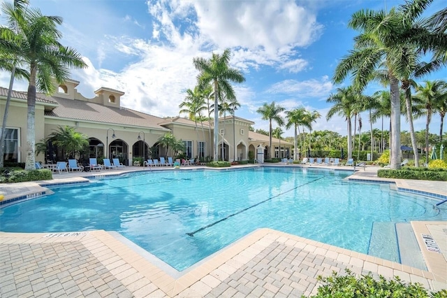 view of pool featuring a patio