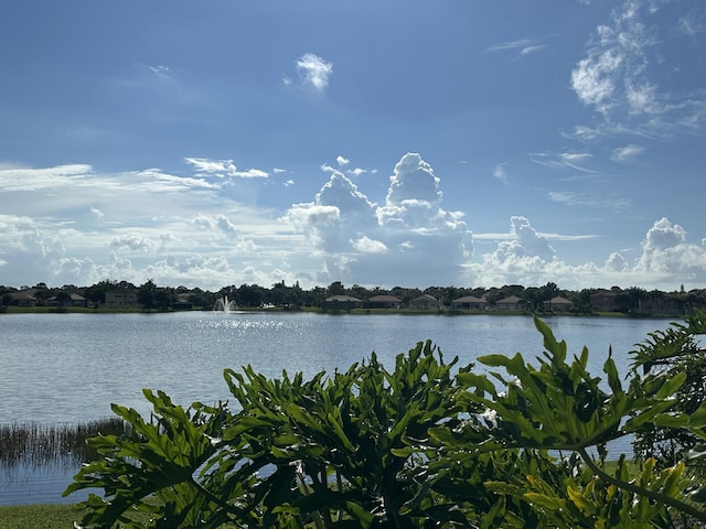 view of water feature