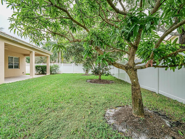 view of yard featuring a patio