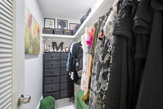 walk in closet featuring hardwood / wood-style flooring