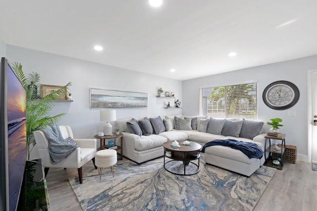 living room with light hardwood / wood-style flooring