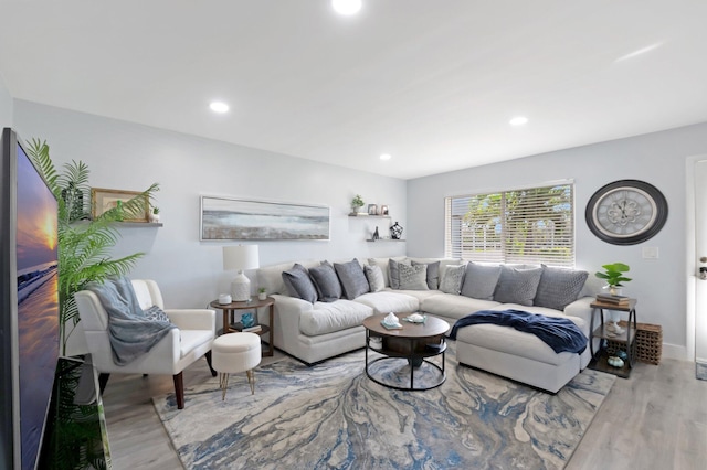 169 Flanders D, Delray Beach, FL 33484 - living area featuring recessed lighting, wood finished floors, and baseboards