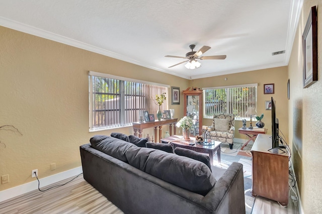 living room featuring ceiling fan, light wood-type flooring, and crown molding