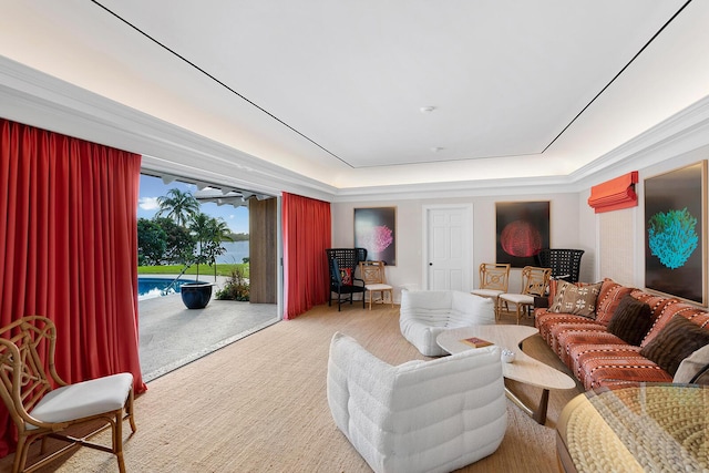 carpeted living room featuring a raised ceiling