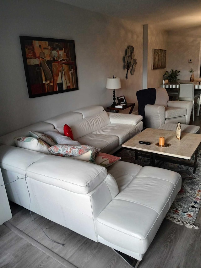 living room featuring hardwood / wood-style floors