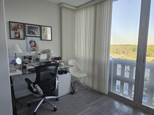 home office featuring wood finished floors