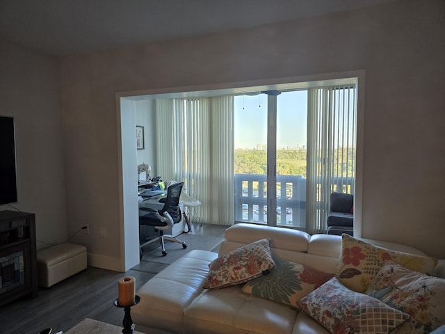 living room with baseboards and wood finished floors