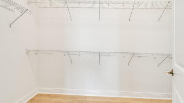 walk in closet with hardwood / wood-style flooring