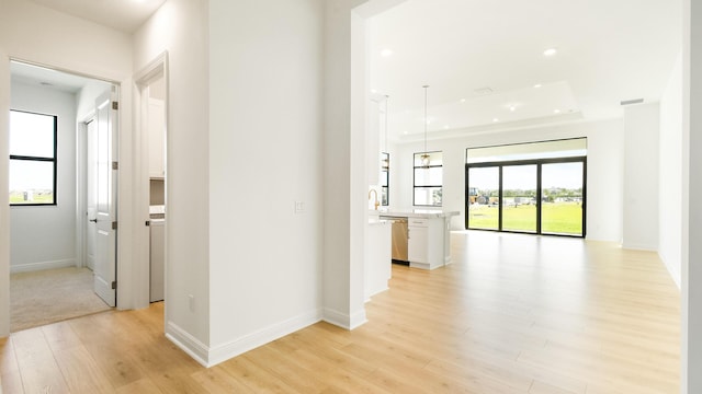 hall featuring plenty of natural light, a raised ceiling, and light hardwood / wood-style flooring