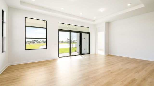 spare room featuring a raised ceiling and light wood-type flooring