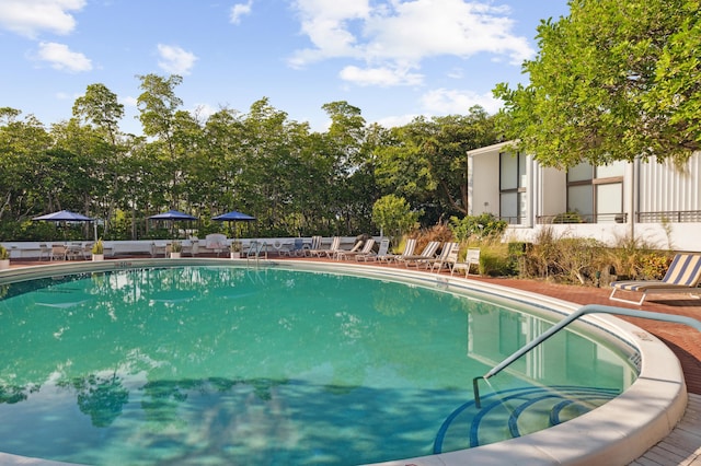 view of swimming pool featuring a patio area