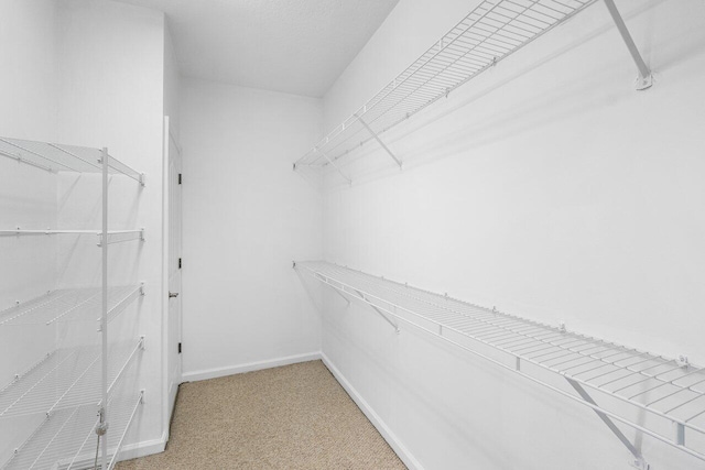 walk in closet with light carpet