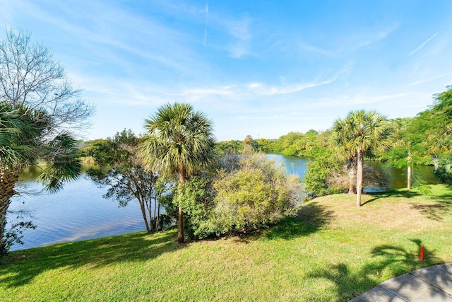 property view of water