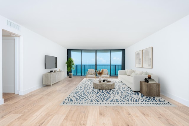 living room with light hardwood / wood-style floors and a wall of windows