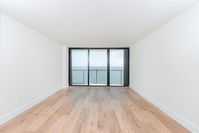 empty room featuring floor to ceiling windows and light wood-type flooring