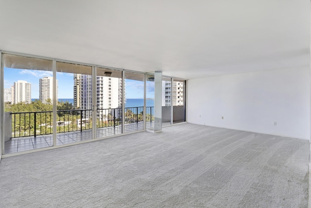 spare room featuring expansive windows and carpet