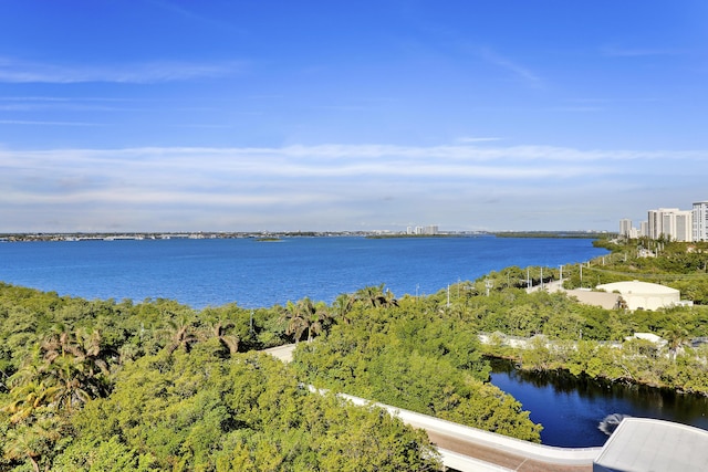 property view of water featuring a view of city