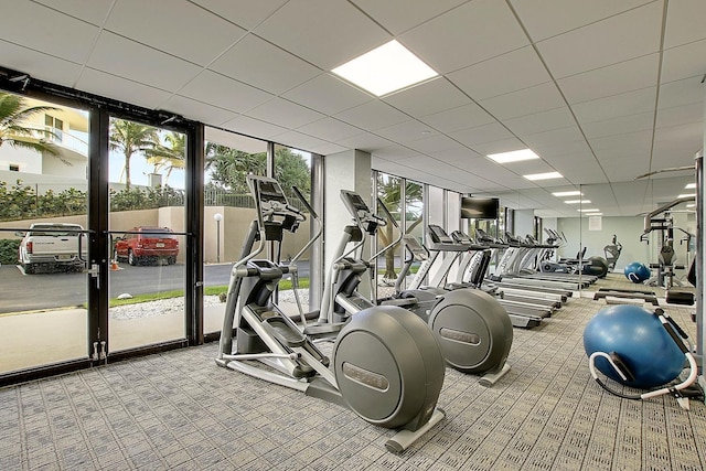 gym featuring carpet floors, floor to ceiling windows, and a drop ceiling