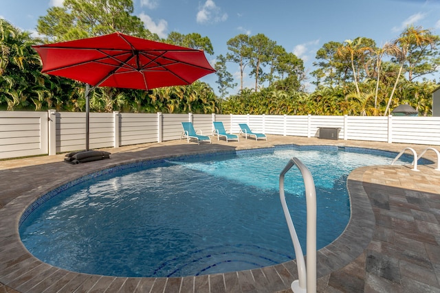 view of swimming pool with a patio area