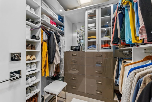 view of walk in closet