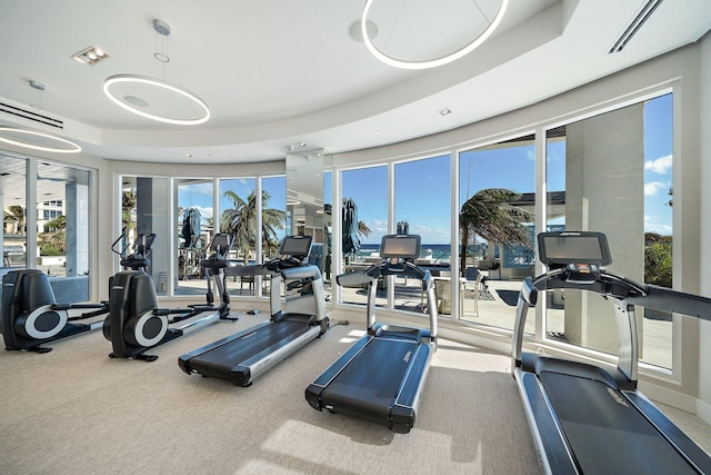 workout area with plenty of natural light, carpet floors, and a tray ceiling