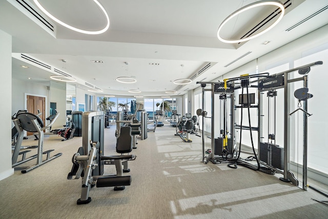 gym featuring expansive windows and light colored carpet