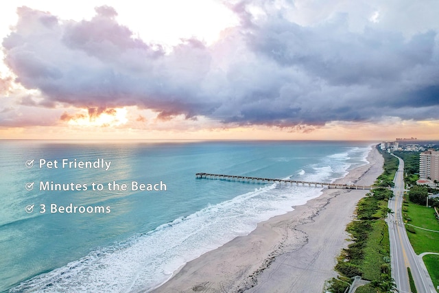 property view of water with a beach view