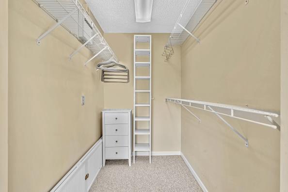 walk in closet with light colored carpet