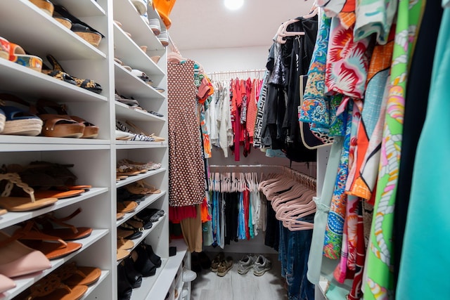 spacious closet with wood-type flooring