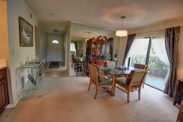 dining room with a healthy amount of sunlight, light colored carpet, a textured ceiling, and ornamental molding