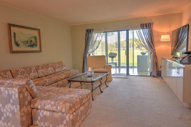 carpeted living room featuring crown molding