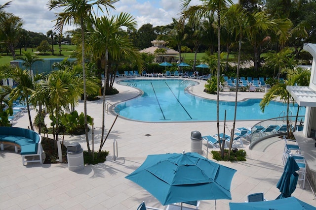 view of swimming pool with a patio area