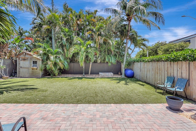 view of yard with a storage unit and a patio area