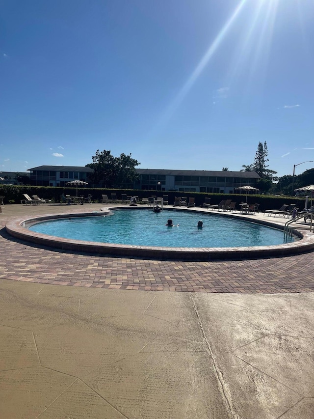 view of swimming pool with a patio