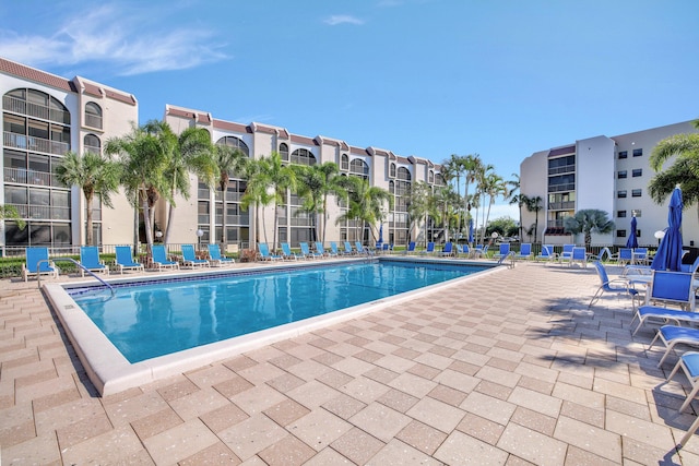 view of swimming pool featuring a patio area