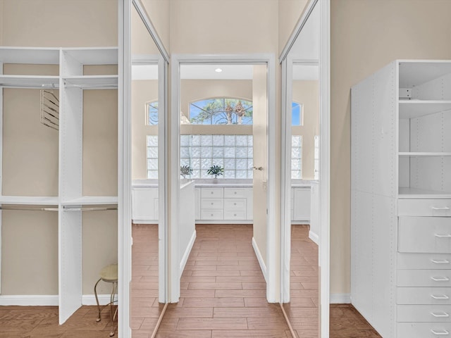 view of spacious closet