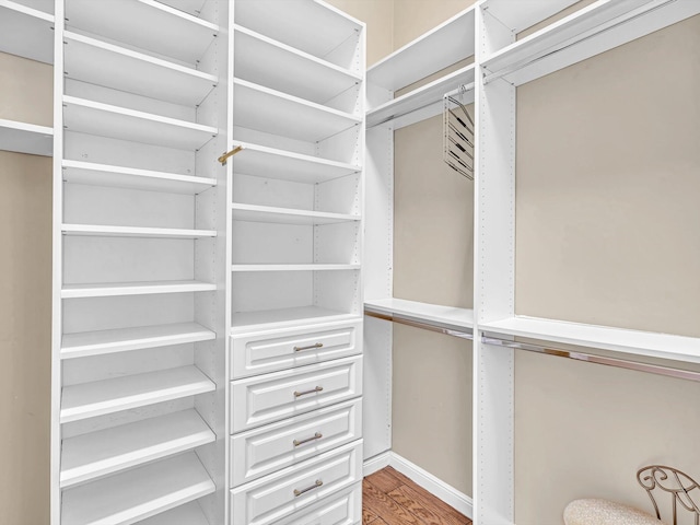 spacious closet with hardwood / wood-style floors