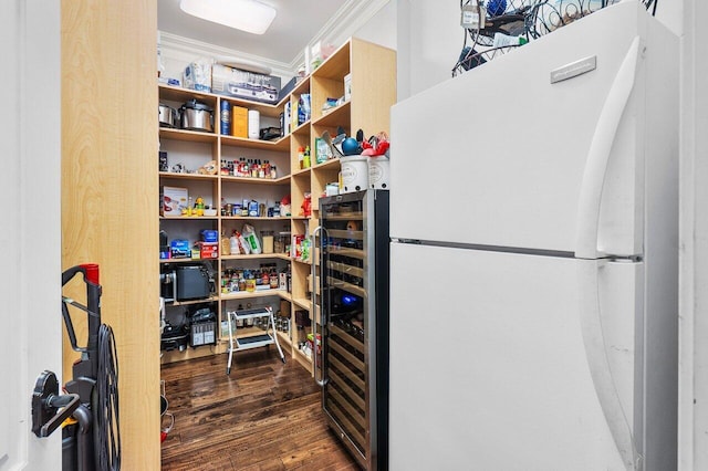 pantry featuring beverage cooler