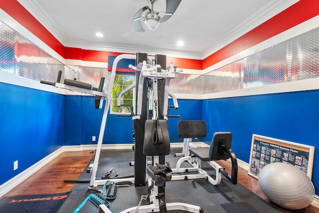 workout area with hardwood / wood-style floors, ceiling fan, and crown molding