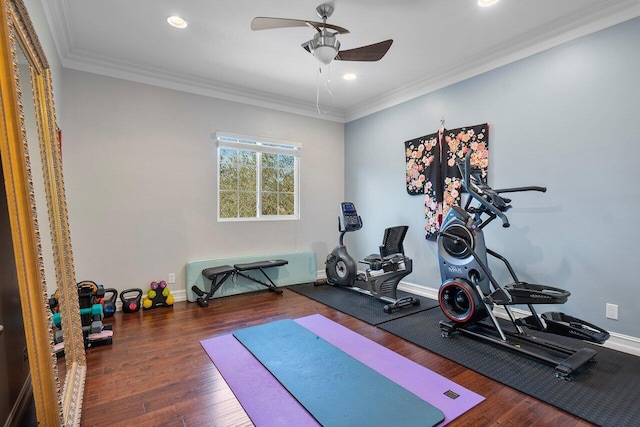 workout area with crown molding, ceiling fan, and dark wood-type flooring