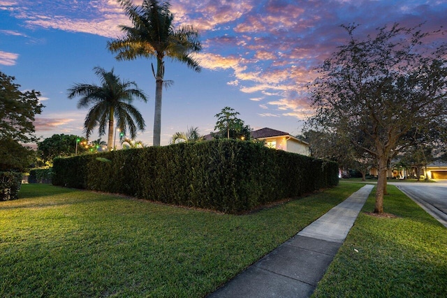 view of yard at dusk