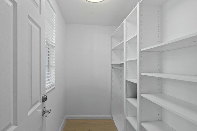 walk in closet with wood-type flooring